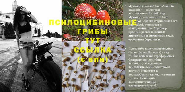 мяу мяу кристалл Волоколамск