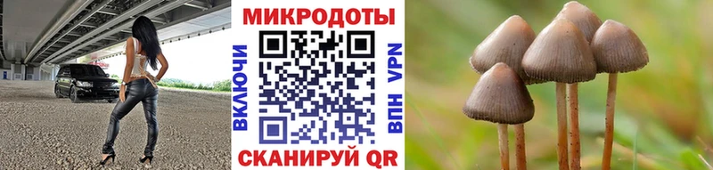 Псилоцибиновые грибы мухоморы  Волгореченск 